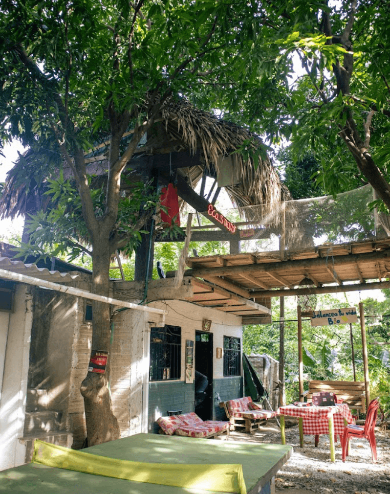 Image 3
