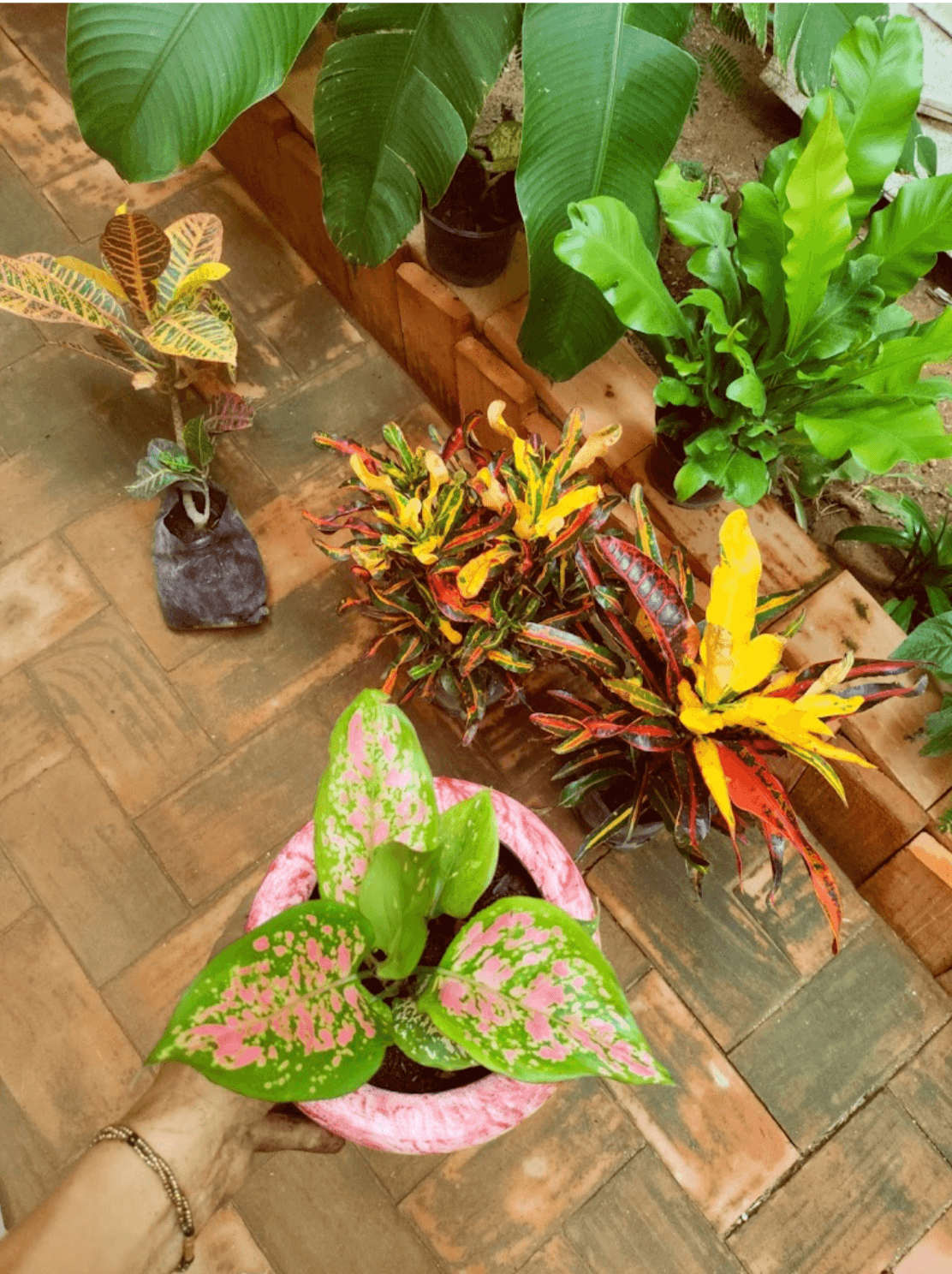 Image 2