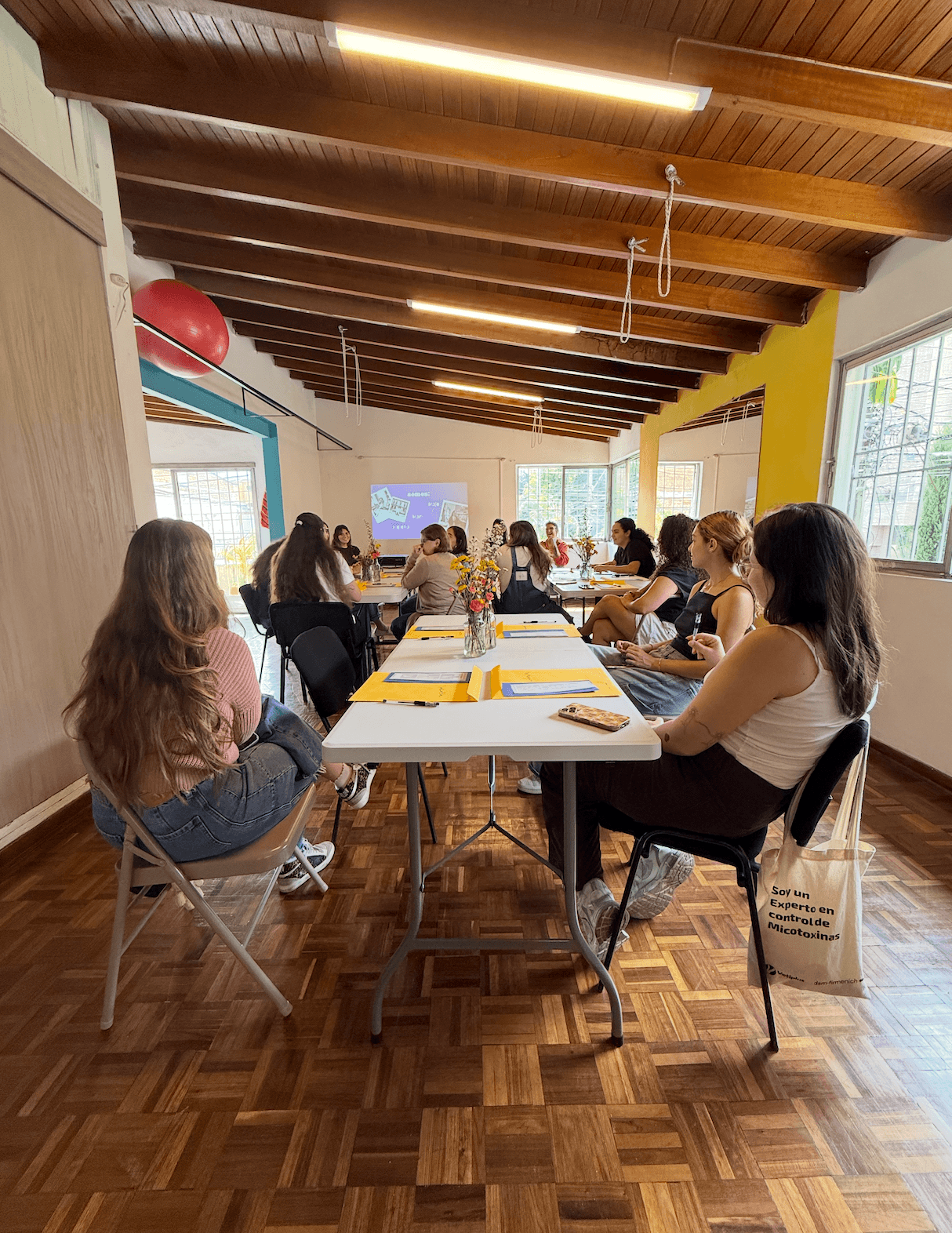 Women's Circle - Colectivo cinco28